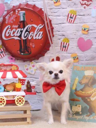 20230906りゅうくん